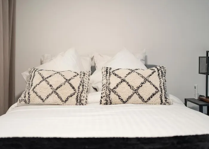 L'eden D'elyse - Duplex Premium- Parking Gratuit Nancy